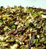 Organic Moorish Mint Green Tea Blend